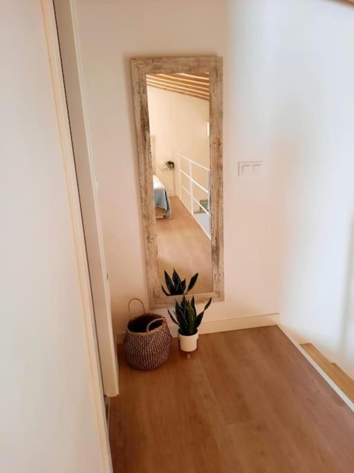 Loft Centrico Con Patio Bodega San Javier Apartman Jerez de la Frontera Kültér fotó