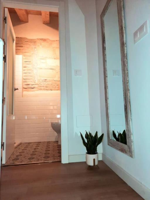 Loft Centrico Con Patio Bodega San Javier Apartman Jerez de la Frontera Kültér fotó
